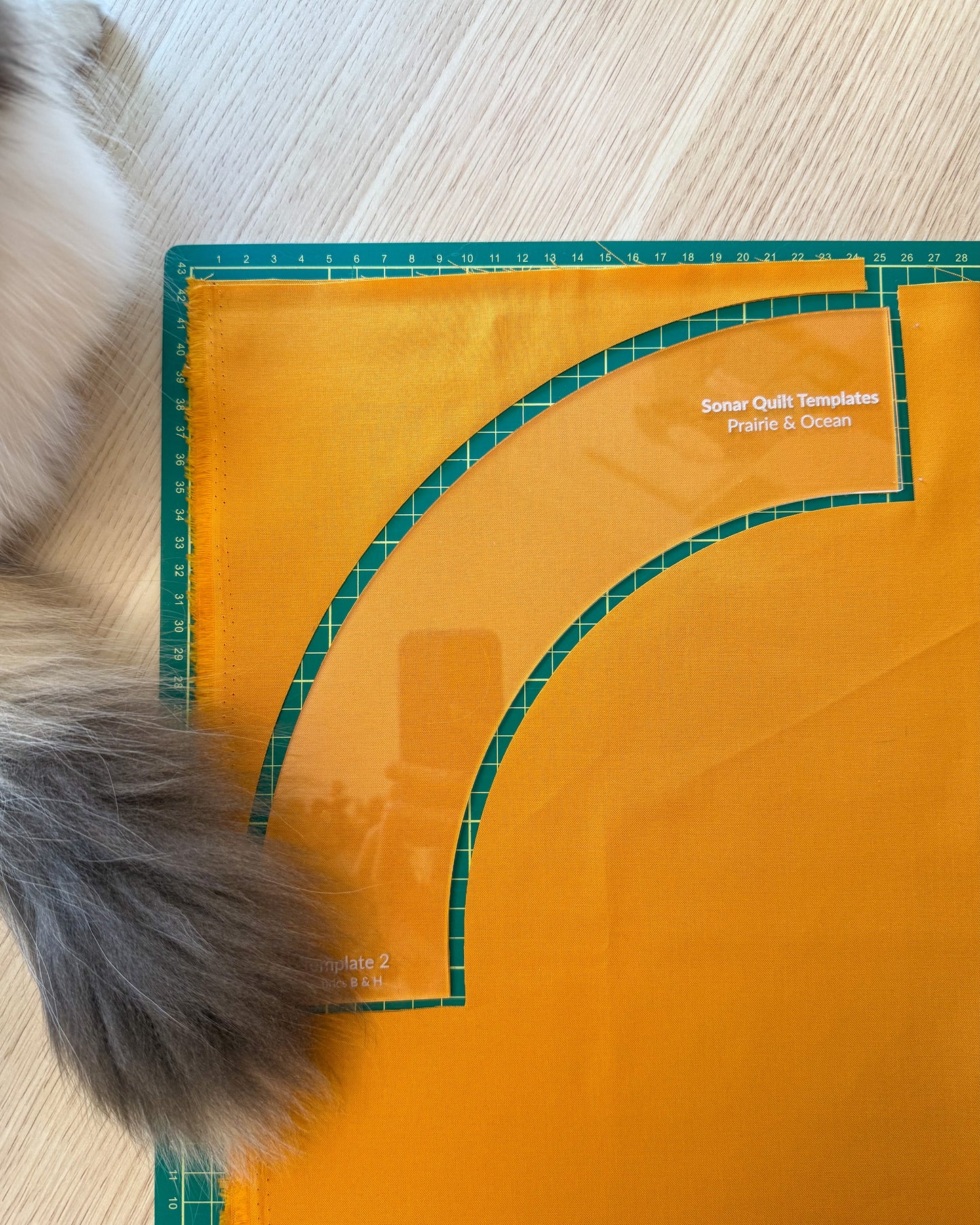 Sonar Templates by Prairie & Ocean